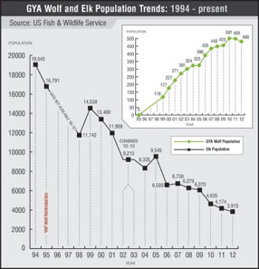 This Is Yellowstone fig 5.4 wolves and elk