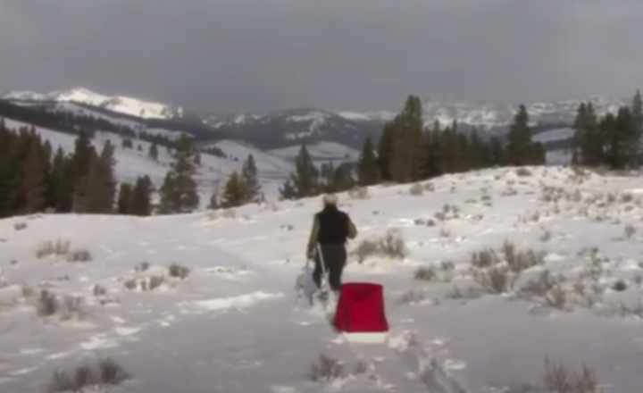 Image is not available