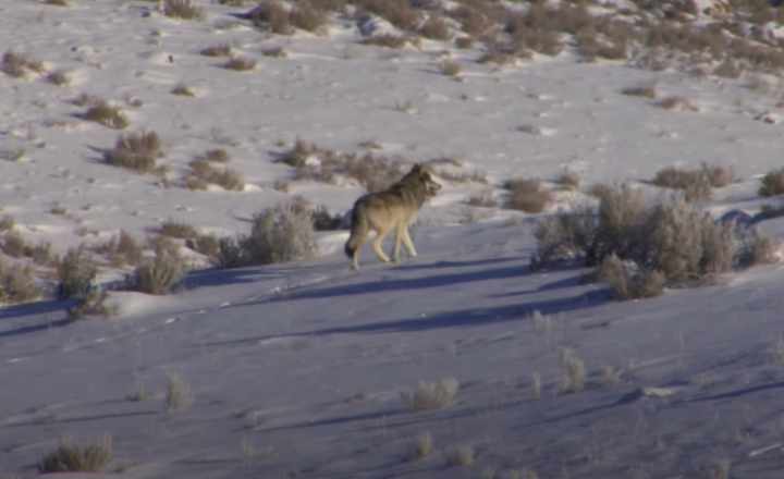 Image is not available